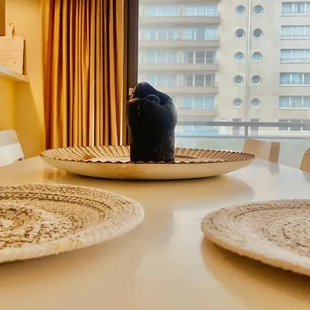 Ruim, Lichtrijk Met Groot Terras Uitstekend Gelegen In Apartment *