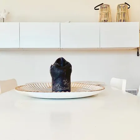 Apartment Ruim, Lichtrijk Met Groot Terras Uitstekend Gelegen In De Panne